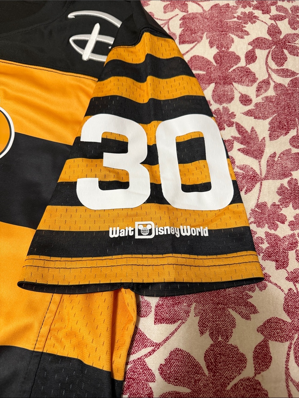 Walt Disney World Pluto Jersey - Picture 3 of 5